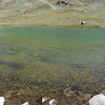 Breitbildfoto von "Grosse See" Bei Breitbildfotos immer noch zusätzlich auf Vollgrösse klîcken