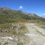 der Wanderweg ist nun nicht mehr so attraktiv, führt er doch ab jetzt meistens über Alpstrassen