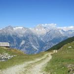 der Wanderweg ist nicht spektakulär, die Aussicht aber dafür um so schöner. Blick zum Bietschhorn