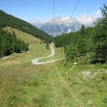 die vielen Kehren können abgekürzt werden. Leider verläuft dann der Weg immer auf der Skipiste und Skiliftnähe