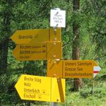 bei der Weggabelung "Beginn Alte Suone" 1860 m.ü.M. biegen wir rechts ab Richtung Bürchen-alte Suone