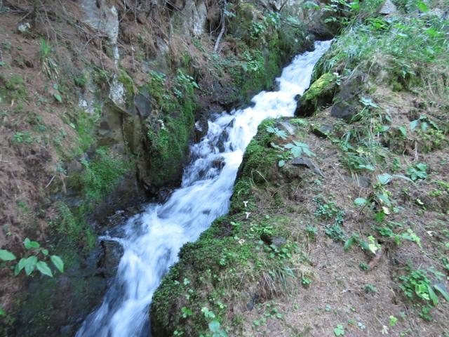 manchmal ganz leise und dann wieder laut rauschend, fliesst das Wasser an uns vorbei