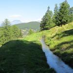 die Suone durchquert nun die Alpweiden bei Waldstafel