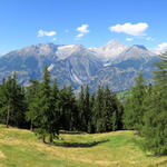 sehr schönes Breitbildfoto aufgenommen bei Waldstafel mit Blick zum Bietschhorn