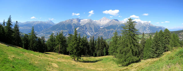 sehr schönes Breitbildfoto aufgenommen bei Waldstafel mit Blick zum Bietschhorn