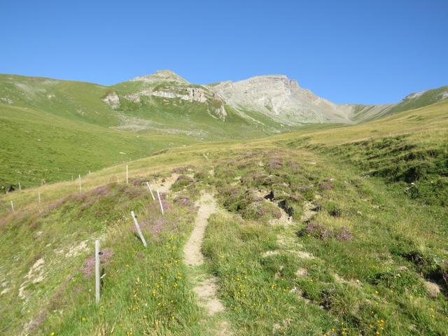 vor uns taucht der Piz Beverin auf. Links der Beverin Pintg