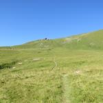 über Alpweiden führt uns der einfache Wanderweg hinauf Richtung Alp Nursin