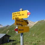 Wegweiser bei Punkt 2442 m.ü.M. auf der Alp Nursin. Wir laufen geradeaus weiter zur Beverin Lücke