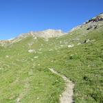 Taleinwärts wandern wir über die Alp Nursin zur Beverin Lücke