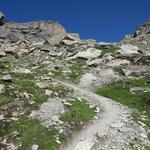 der Bergweg wird nun steiler