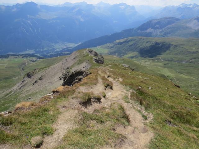 hinter uns eine graue Steinwüste. Vor uns grüne Alpweiden mit Blumen