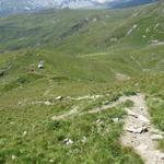 steil führt nun der einfache Wanderweg vom Beverin Pintg hinunter zur Alp Nursin