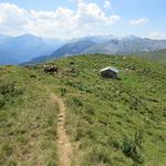 bei der Weggabelung Punkt 2442 m.ü.M auf der Alp Nursin