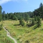 wir wandern relativ steil aufwärts in den Heiperwald hinein, und danach weiter ins Grüobtälli