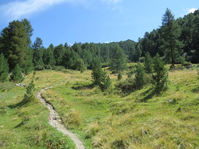 wir wandern relativ steil aufwärts in den Heiperwald hinein, und danach weiter ins Grüobtälli