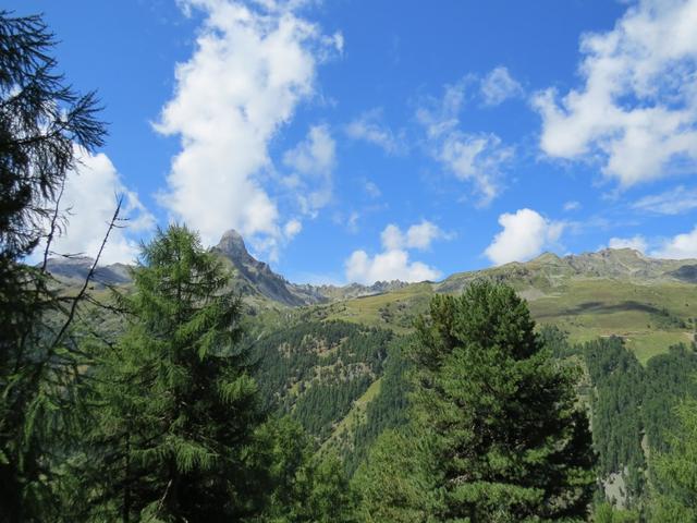 Blick auf die gegenüberliegende Talseite und zur Turtmannspitze