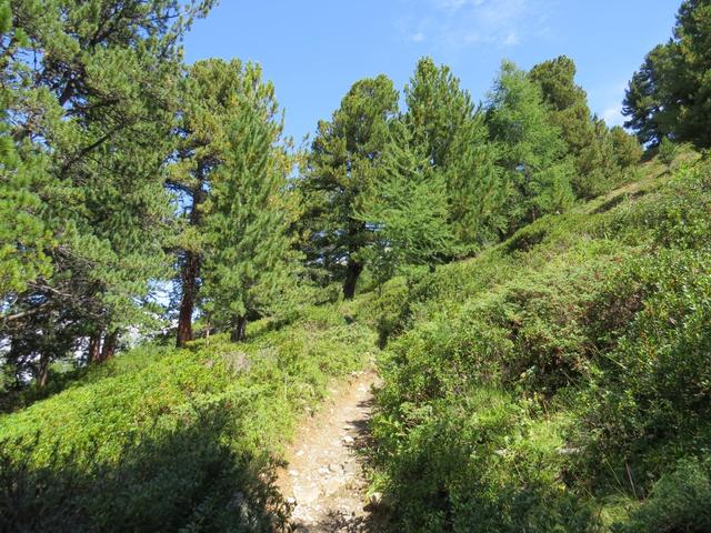 wir wandern geradeaus aufwärts und lassen Alp Grüobu Mittelstafel links liegen