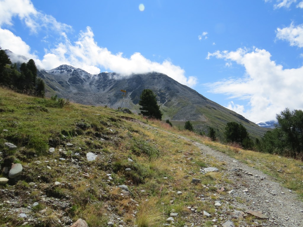 kurz unterhalb der Alp Grüobu Oberstafel erreichen wir wieder eine Weggabelung