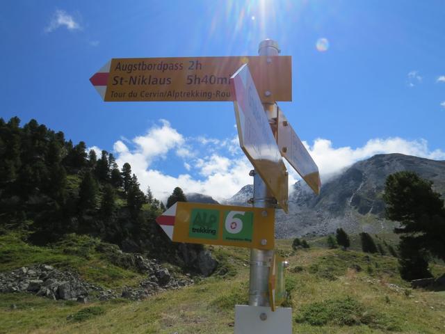 Wegweiser bei der Weggableung Punkt 2270 m.ü.M. Geradeaus führt der Weg zum Augstbordpass