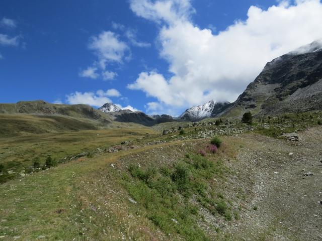 Blick hinauf Richtung Augstbordpass