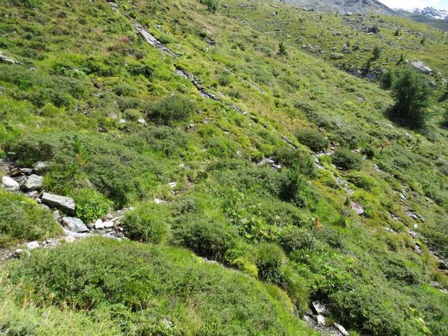 das Wanderweg ist weiterhin einfach, und nicht ausgesetzt