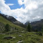 zwischen Hungerli Mittelstafel und Hungerli Oberstafel, führt der Wanderweg weiter geradeaus