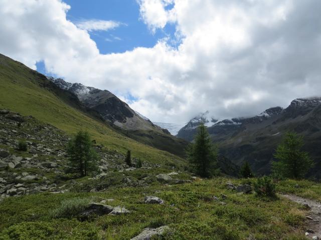 zwischen Hungerli Mittelstafel und Hungerli Oberstafel, führt der Wanderweg weiter geradeaus