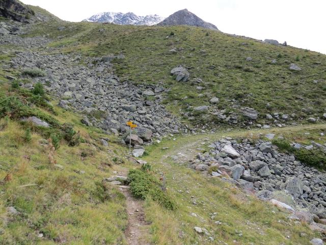 kurz vor dem Brändjibach erreichen wir eine Wegkreuzung