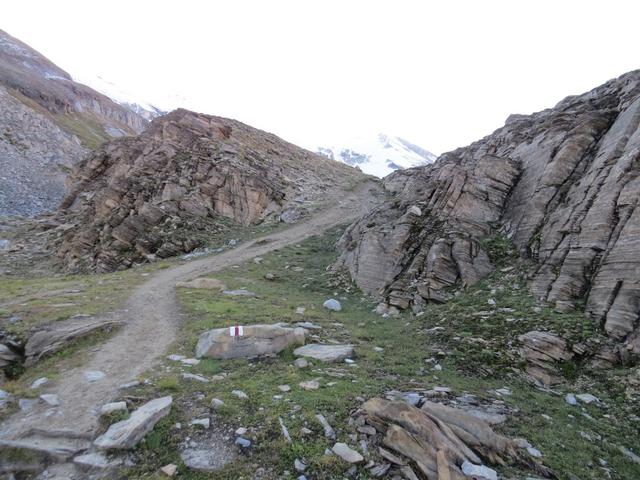 oberhalb von Punkt 2614 m.ü.M. öffnet sich das Gelände...