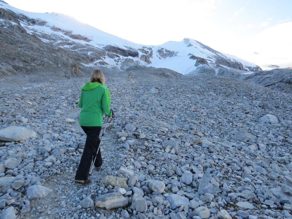 ... der sich parallel zum Eisstrom nach Südosten gegen das Schöllijoch zieht