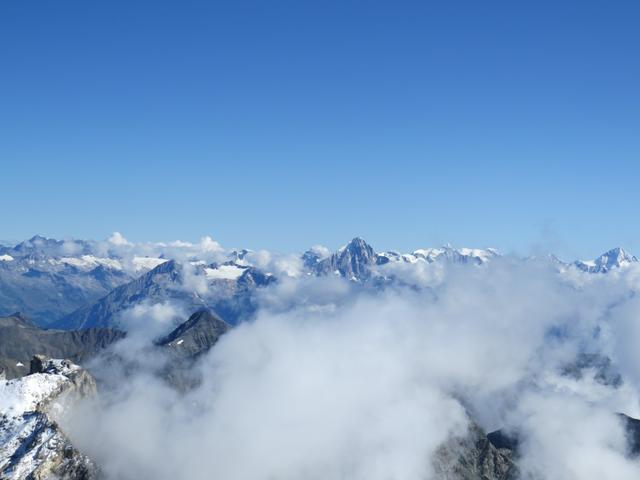 super schönes Breitbildfoto mit Blick Richtung Norden zur Südfront der Berner Alpen mit Bietschhorn