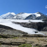 sehr schönes Breitbildfoto mit den zwei Barrhörner, Schöllihorn, Brunegghorn, Weisshorn und Bishorn