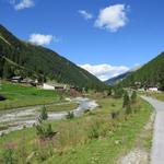 wir geniessen die Wanderung im Talboden des Turtmanntal. Blüomatt 1859 m.ü.M.