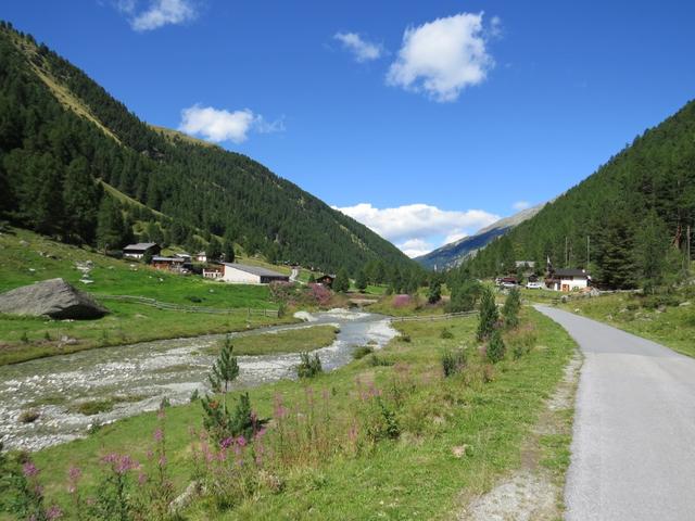 wir geniessen die Wanderung im Talboden des Turtmanntal. Blüomatt 1859 m.ü.M.