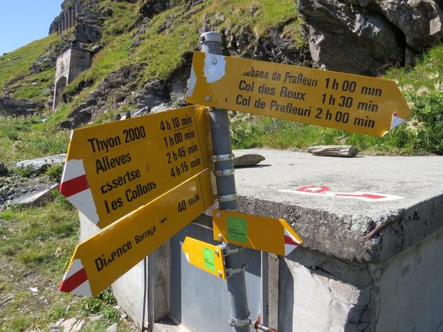 Wegweiser bei Punkt 2410 m.ü.M. wir biegen links ab Richtung Cabane de Prafleuri