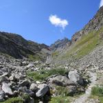 wir biegen links ab und gewinnen über einen guten Wanderweg wieder an Höhe