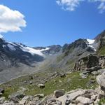 Blick über die Alpweiden von La Barma zu den Glaciers des Ecoulaies und Glacier de Mourti