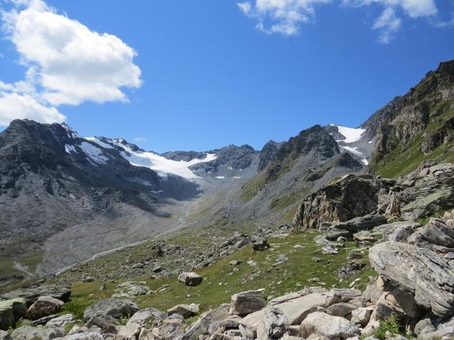 Blick über die Alpweiden von La Barma zu den Glaciers des Ecoulaies und Glacier de Mourti