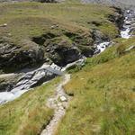 über eine solide Brücke überschreiten wir den Gletscherbach vom Glacier des Ecoulaies