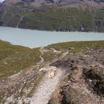 schönes Breitbildfoto mit Blick auf den fünfeinhalb Kilometer langer Lac des Dix