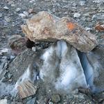 zwischendurch schaut das Eis des Glacier de Cheilon hervor