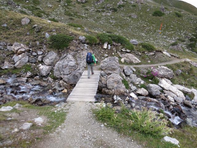 bei Punkt 2540 m.ü.M. überqueren wir einen Bach und erreichen die Montagne d'Arolla