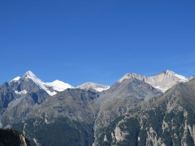 was für eine Aussicht und dies schon von Gasenried! Weisshorn (nur die Spitze), Brunegghorn, Bishorn und Barrhorn