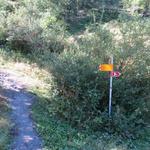 gleich hinter der Riedbach-Brücke zweigen wir links ab...