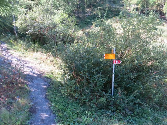 gleich hinter der Riedbach-Brücke zweigen wir links ab...