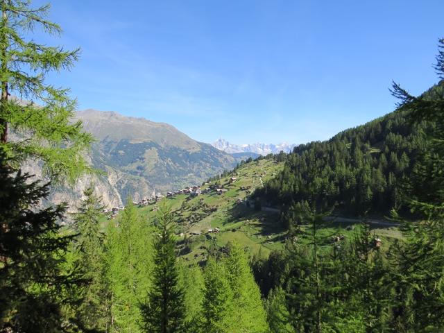 Blick zurück nach Gasenried