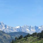 Blick zum Bietschhorn, Schinhorn und Aletschhorn