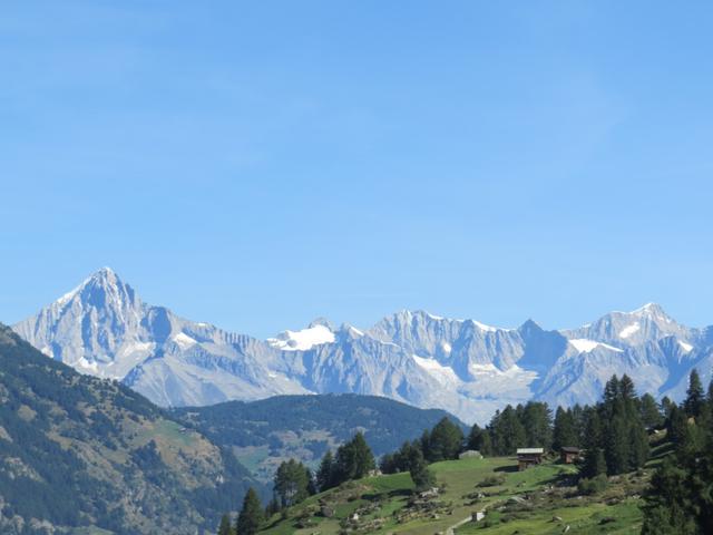 Blick zum Bietschhorn, Schinhorn und Aletschhorn