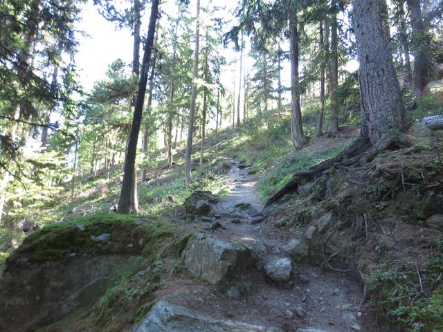 der Abschnitt zwischen Grächen und der eigens als Stützpunkt errichteten Europahütte...