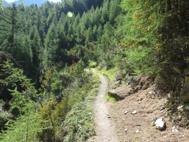 ...ehe sich der eigentliche Höhensteig durch wildes Alpterrain windet